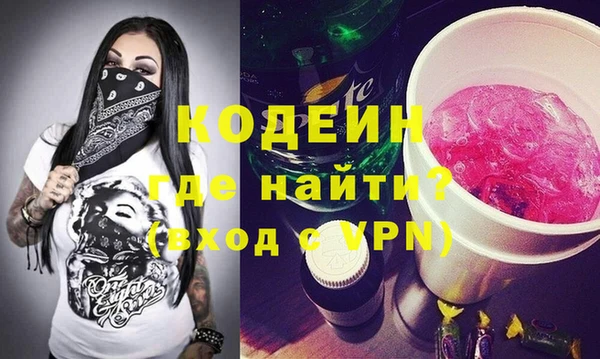 шишки Белокуриха