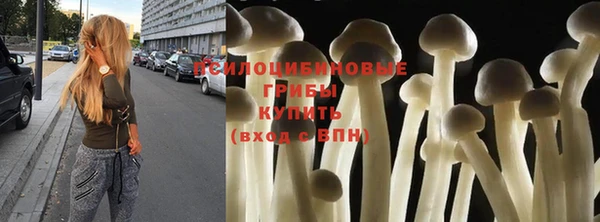 стаф Беломорск