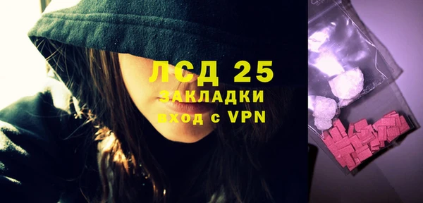 шишки Белокуриха