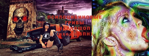 шишки Белокуриха
