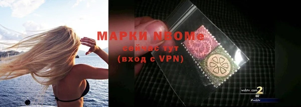 шишки Белокуриха