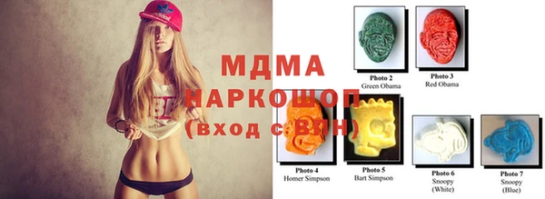 шишки Белокуриха