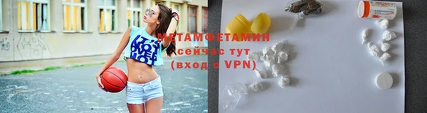 шишки Белокуриха