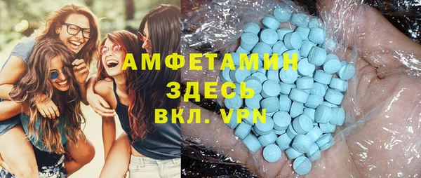 шишки Белокуриха