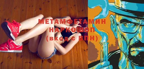 шишки Белокуриха