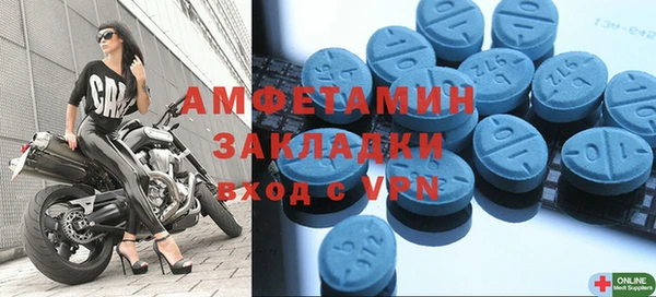 шишки Белокуриха