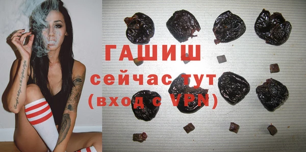 шишки Белокуриха