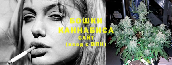 шишки Белокуриха