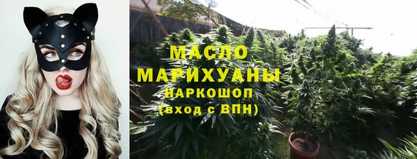 шишки Белокуриха